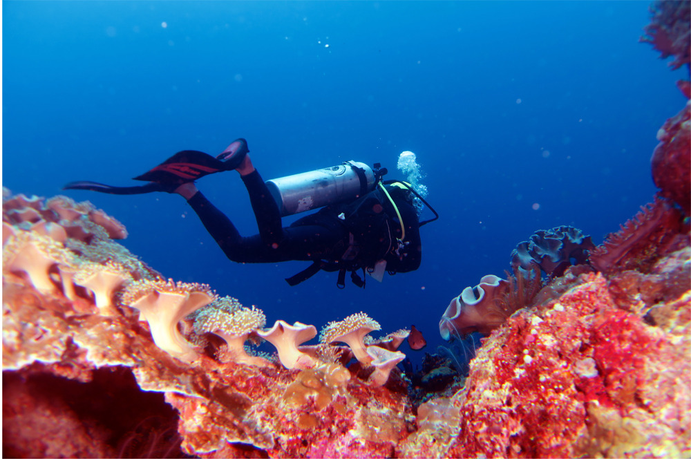 DIVING