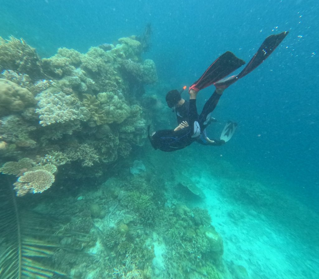 SNORKLING