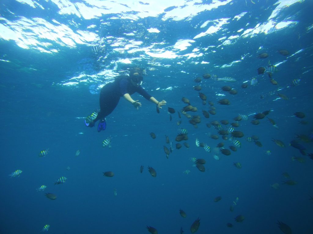 SNORKLING