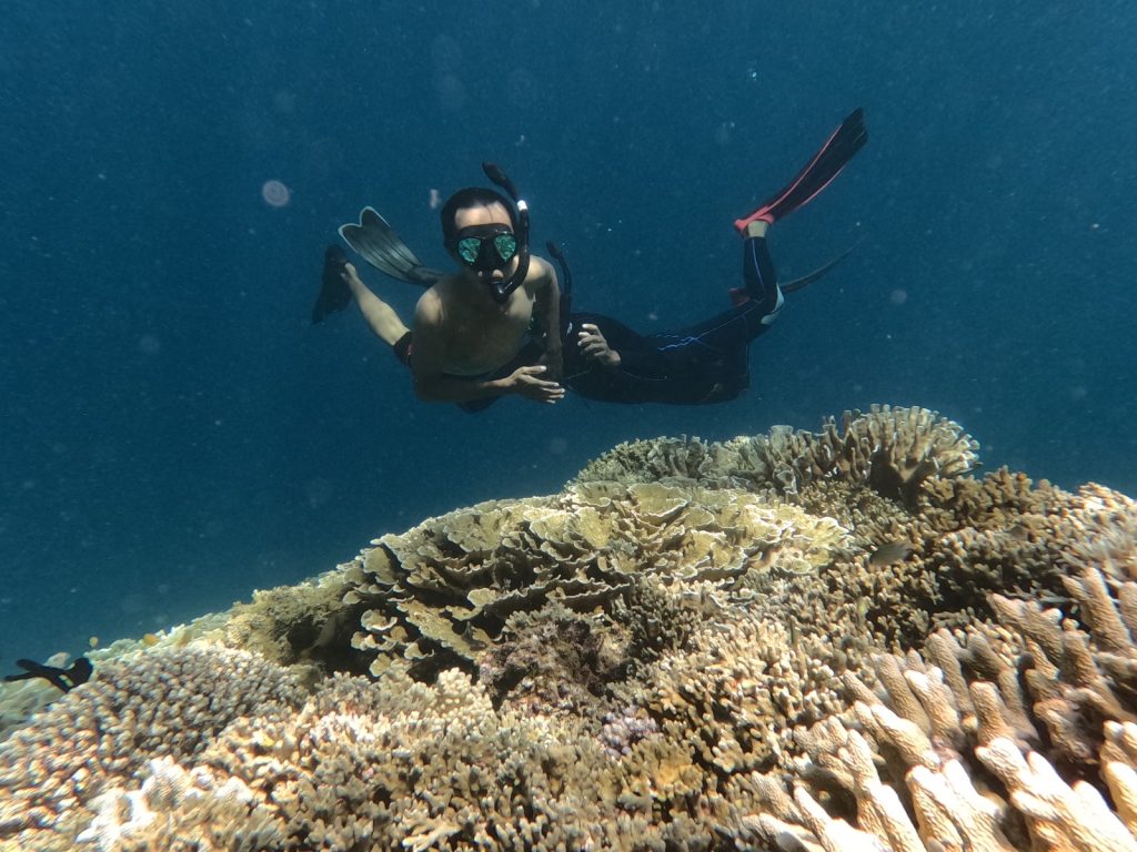 SNORKLING